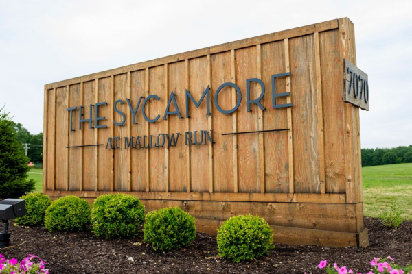 Sycamore sign